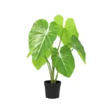 Philodendron kunstkamerplant grote bladeren