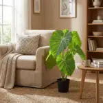 Philodendron kunstkamerplant grote bladeren