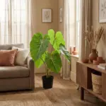 Philodendron kunstkamerplant grote bladeren