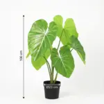 Philodendron kunstkamerplant grote bladeren