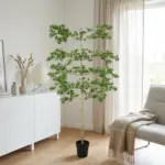 Bucida kunstplant voor binnen