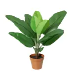 Philodendron Jungle King kunstkamerplant