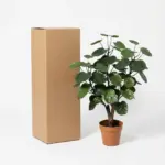 Polyscias Fabian kunstplant voor binnen