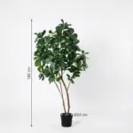 Ficus lyrata kunstboom voor binnen