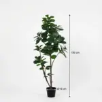 Ficus lyrata vertakt kunstplant voor binnen