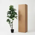 Ficus lyrata vertakt kunstplant voor binnen