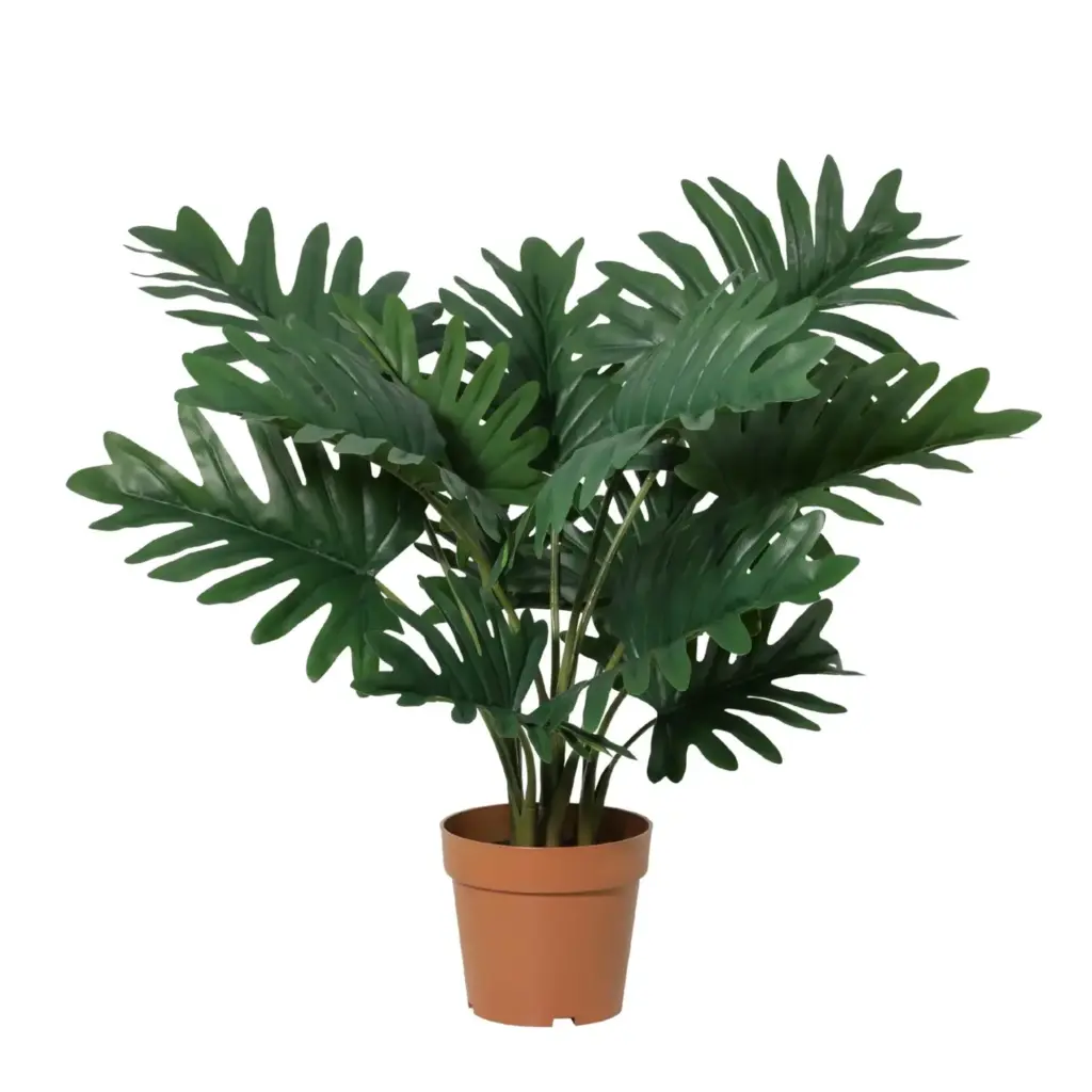 Philodendron Selloum kunstkamerplant