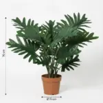Philodendron Selloum kunstkamerplant