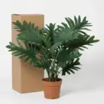 Philodendron Selloum kunstkamerplant