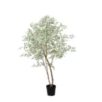 Ficus benjamina variegata kunstkamerplant