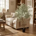 Ficus benjamina variegata kunstkamerplant