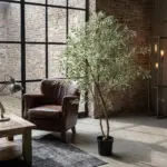 Ficus benjamina variegata kunstkamerplant