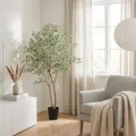 Ficus benjamina variegata kunstkamerplant