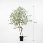 Ficus benjamina variegata kunstkamerplant