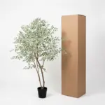 Ficus benjamina variegata kunstkamerplant