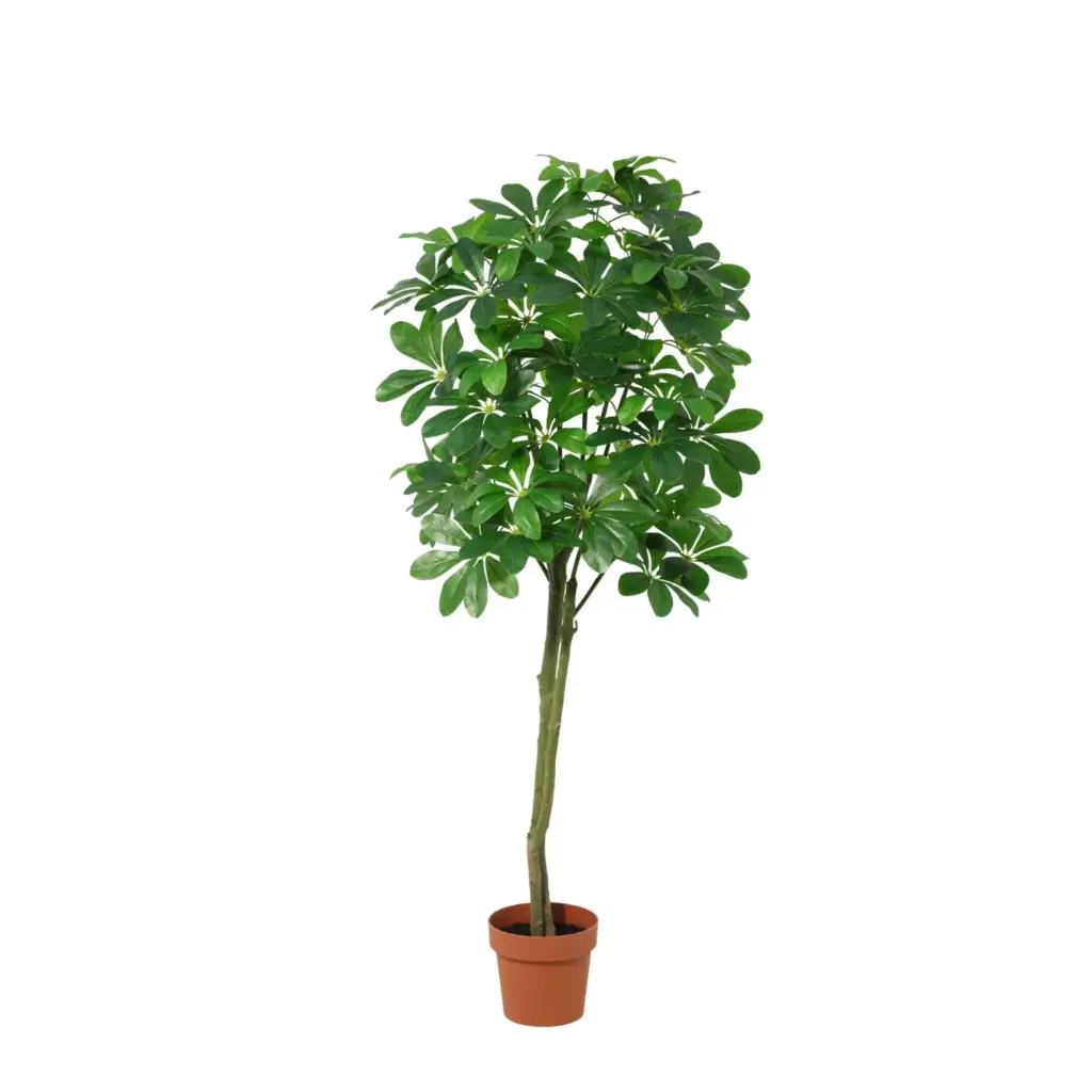 Pachira Aquatica kunstplant voor binnen