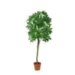 Pachira Aquatica kunstplant voor binnen
