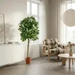 Pachira Aquatica kunstplant voor binnen