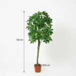 Pachira Aquatica kunstplant voor binnen