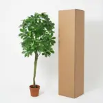 Pachira Aquatica kunstplant voor binnen