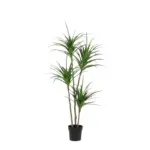 Dracaena kunstplant – grote kamerplant voor binnen