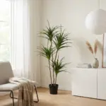 Dracaena kunstplant – grote kamerplant voor binnen