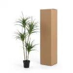 Dracaena kunstplant – grote kamerplant voor binnen