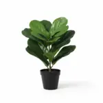 Ficus lyrata kunstplant voor binnen