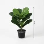 Ficus lyrata kunstplant voor binnen
