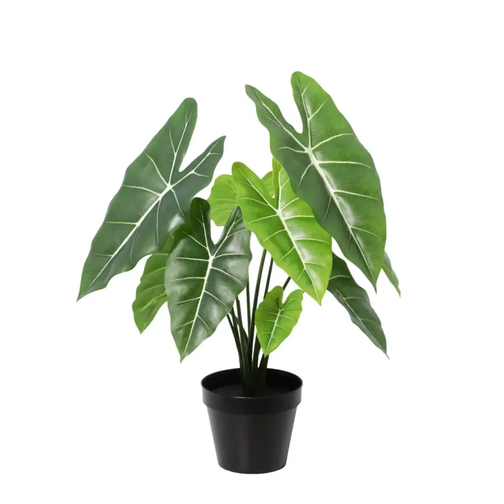 Alocasia Polly kunstplant – levensechte kamerplant