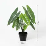 Alocasia Polly kunstplant – levensechte kamerplant