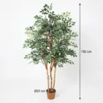 Ficus Exotica kunstplant voor binnen