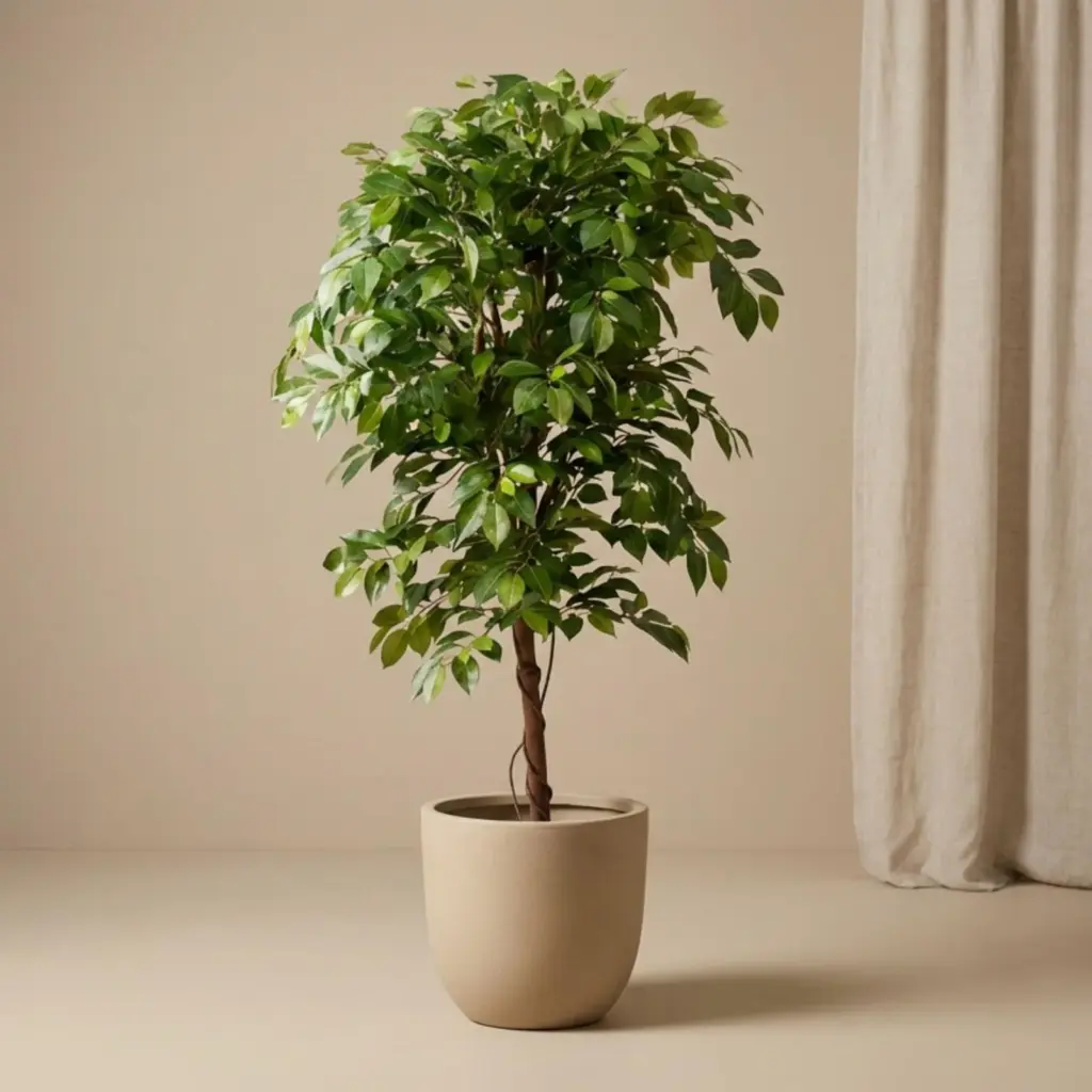 Ficus Deluxe Vine kunstboom met rankende takken