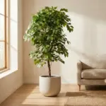 Ficus Deluxe Vine kunstboom met rankende takken — productfoto 3