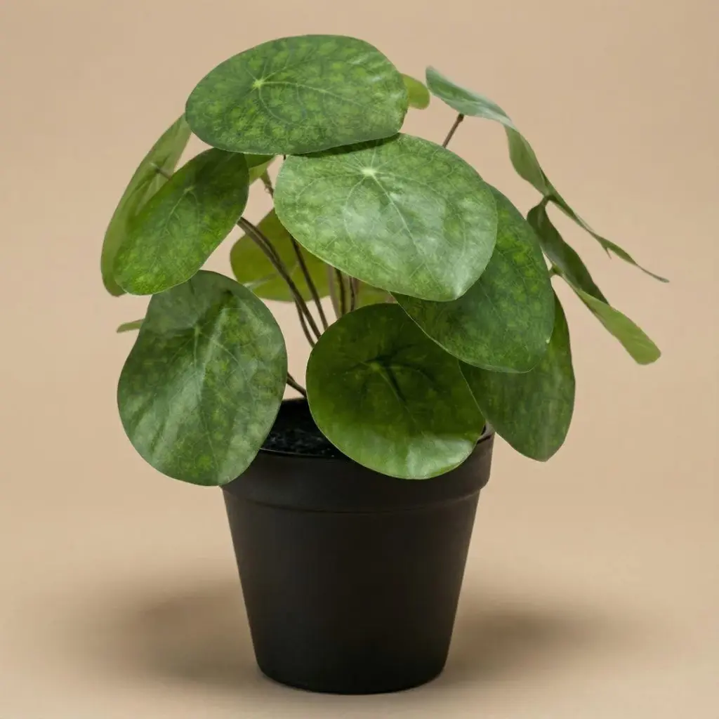 Pilea kunstplant als bush in zwarte pot