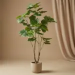 Ficus Umbrella kunstboom met parasolvorm