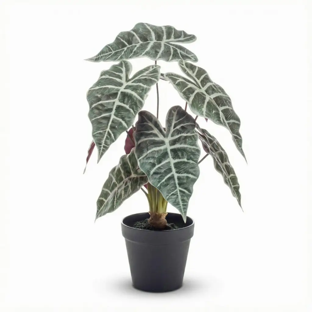 Alocasia bush kunstplant in pot — productfoto 2
