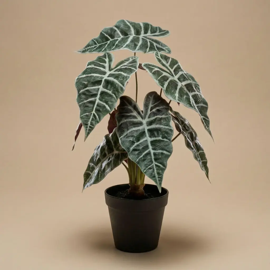 Alocasia bush kunstplant in pot — productfoto 3
