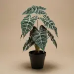 Alocasia bush kunstplant in pot — productfoto 3