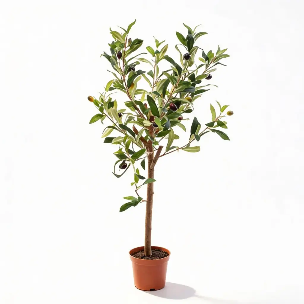 Olijfboom kunstplant in pot – mediterraanse stijl