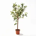 Olijfboom kunstplant in pot – mediterraanse stijl