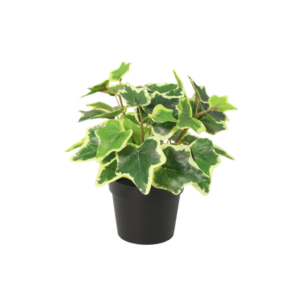 White Ivy kunstplant voor binnen
