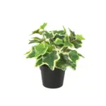 White Ivy kunstplant voor binnen