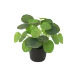 Pilea peperomioides kunstplant voor binnen
