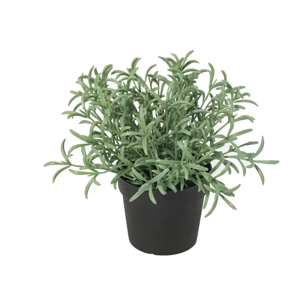 Helichrysum italicum kunstplant voor binnen