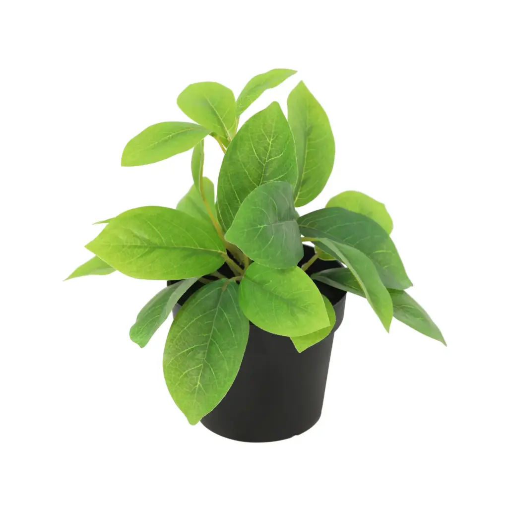 Hoya kunstplant met groene bladeren