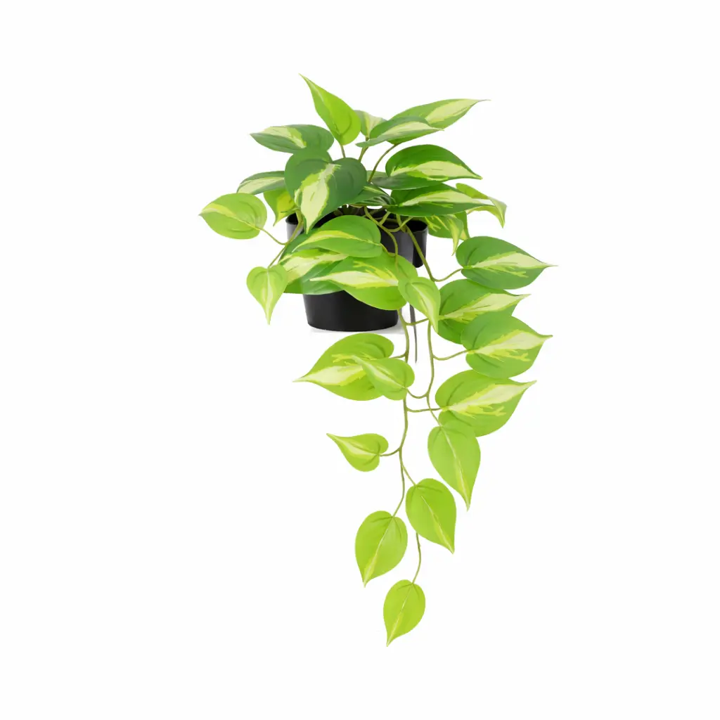 Epipremnum Variegata kunstplant – bonte kunstkamerplant