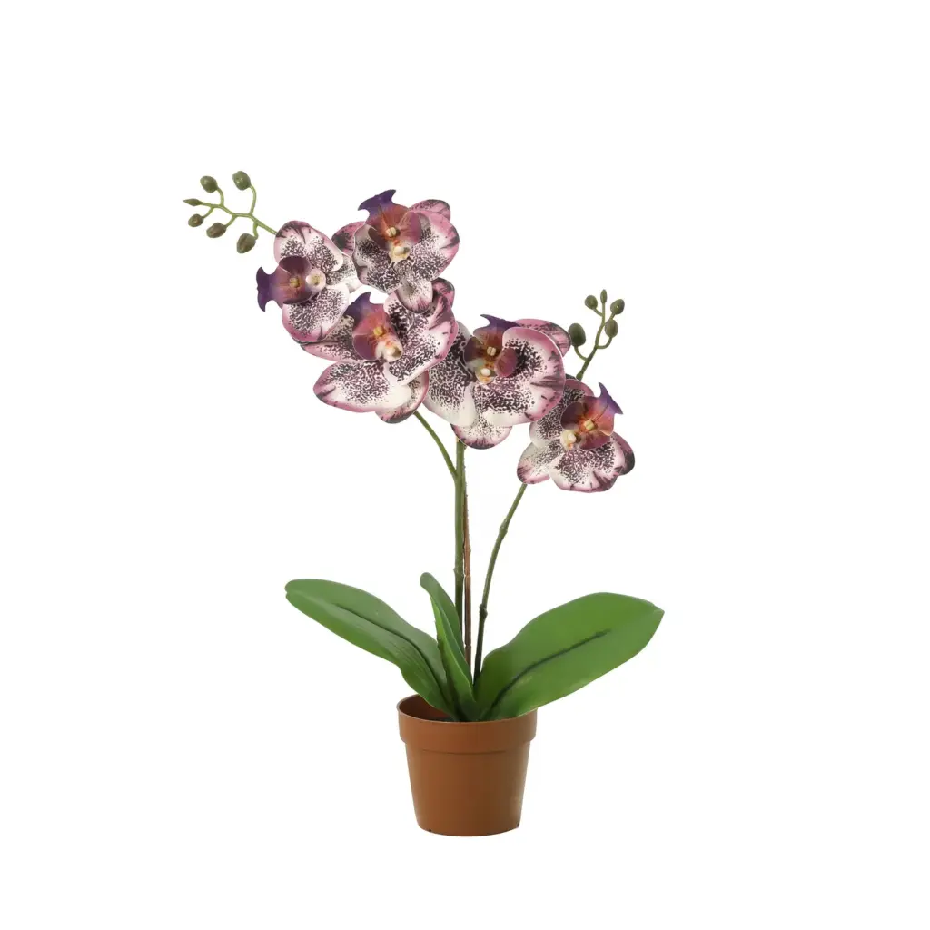 Phalaenopsis orchidee kunstplant paars
