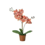 Phalaenopsis kunstorchidee in oranje