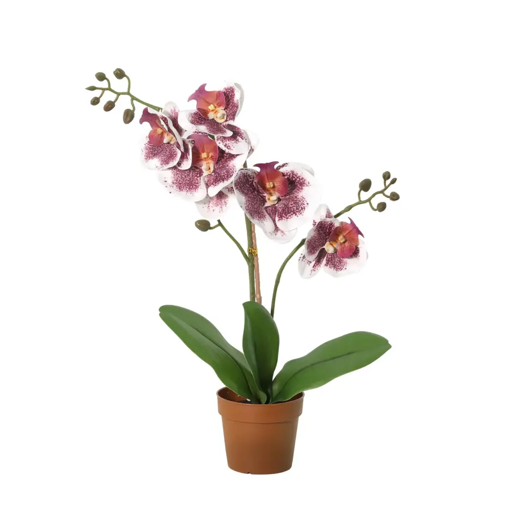 Phalaenopsis orchidee kunstplant violet-wit